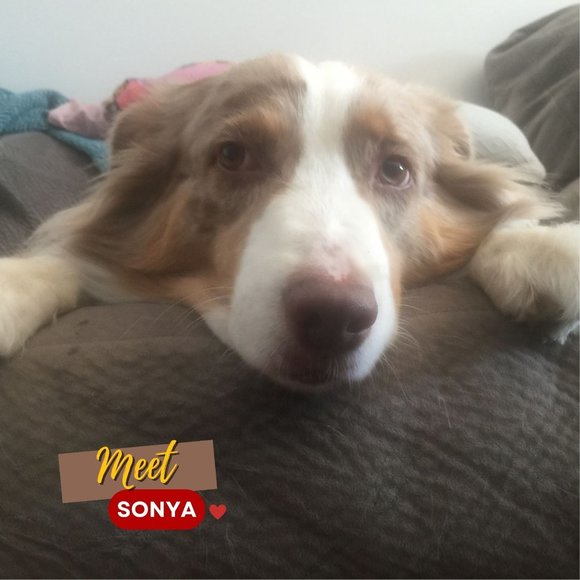 🍁🇨🇦Meet Posher, Deborah🇨🇦🍁 - Picture 3 of 4